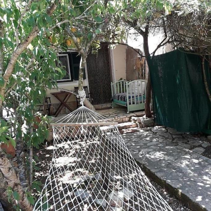 Casa Natasa Lägenhet Oziás Exteriör bild