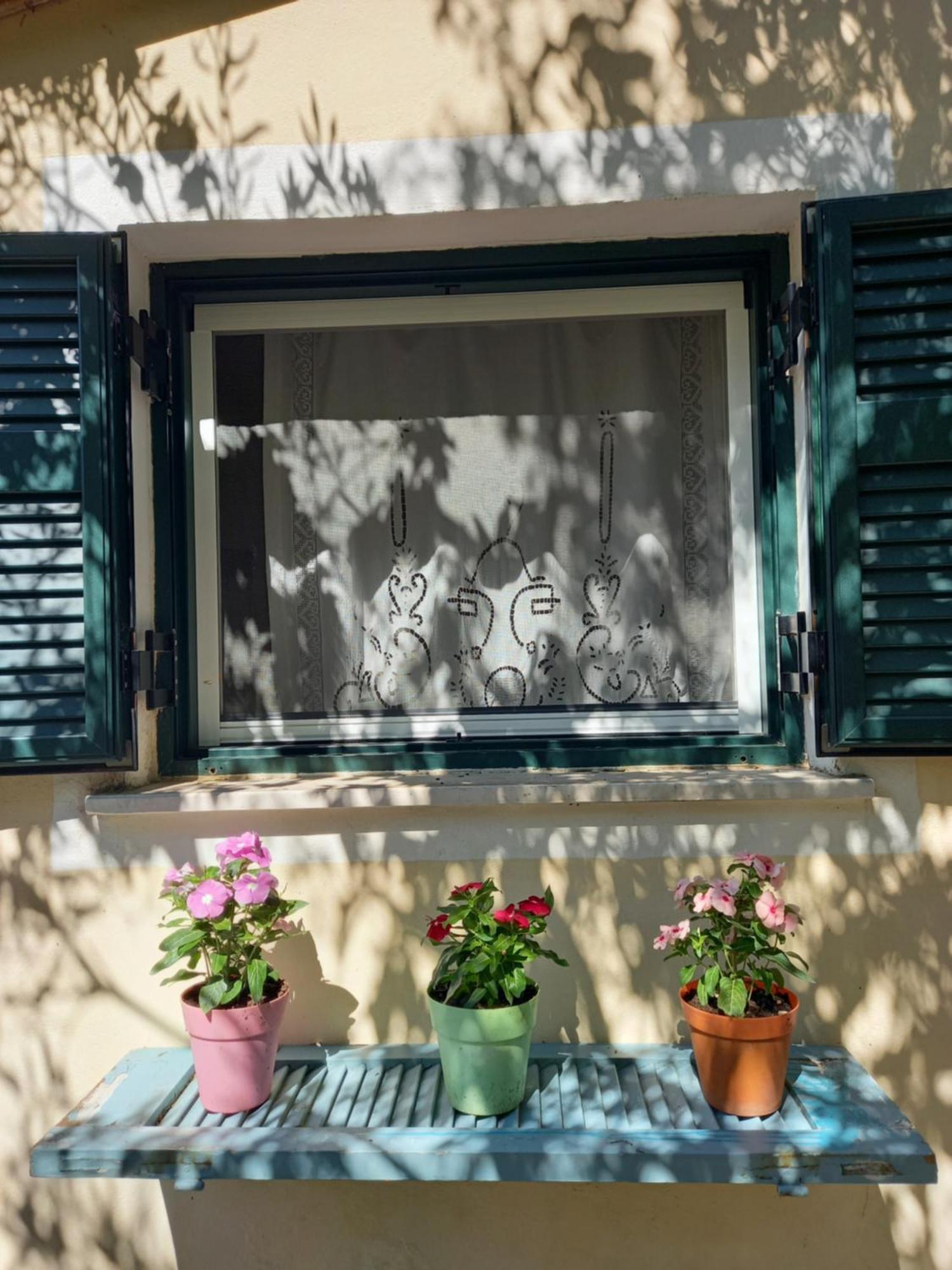 Casa Natasa Lägenhet Oziás Rum bild
